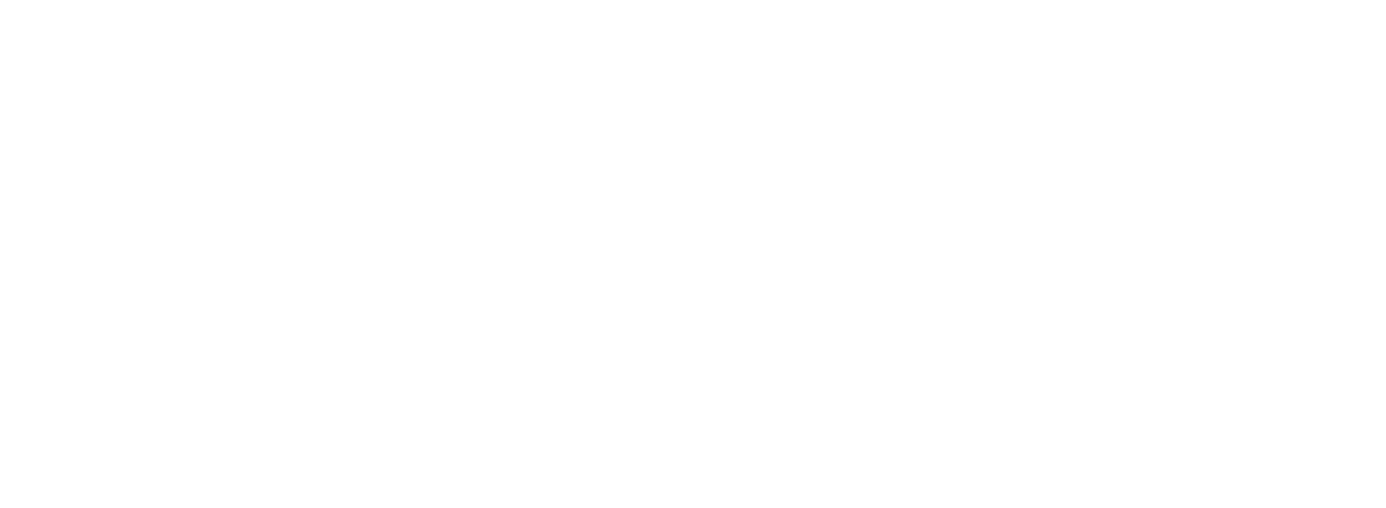 Requisiti di accesso, obiettivi e sbocchi  Scienze Storiche: Società,  Cultura e Istituzioni d'Europa